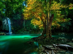 Tajlandia, Drzewo, Rzeka, Wodospad, Park Narodowy Erawan